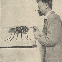 tuyo154